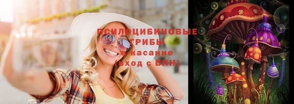гидропоника Богородицк