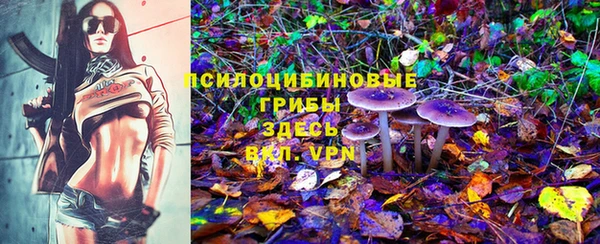 спиды Богородск