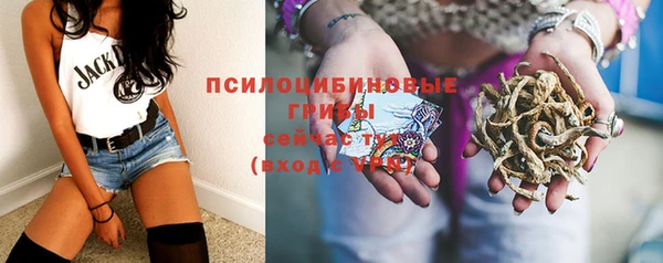 гидропоника Богородицк